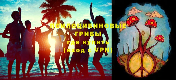 меф Богородицк
