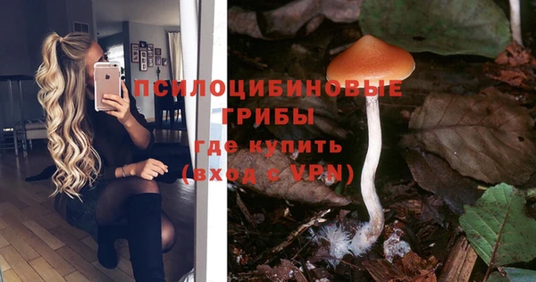 меф Богородицк