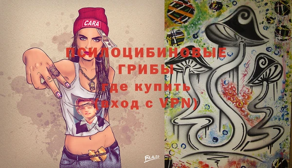 дмт Беломорск