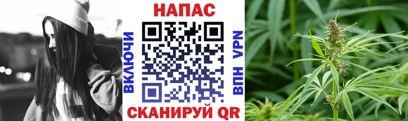 цена наркотик  Сковородино  Конопля LSD WEED 